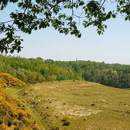 Apartment Vakantiewoning Valkenburg