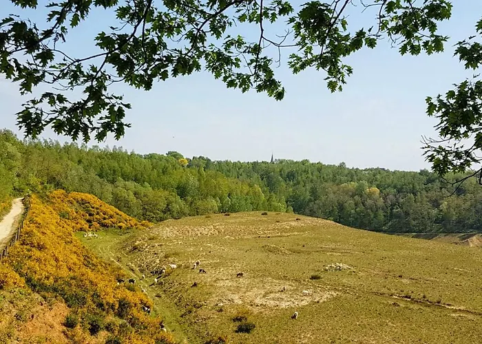 公寓 Vakantiewoning Valkenburg