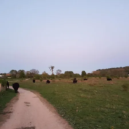 Daire Valkenburg Valkenburg aan de Geul
